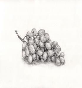 grape 834074 640 278x300