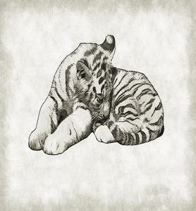 tiger 2157896 640 278x300