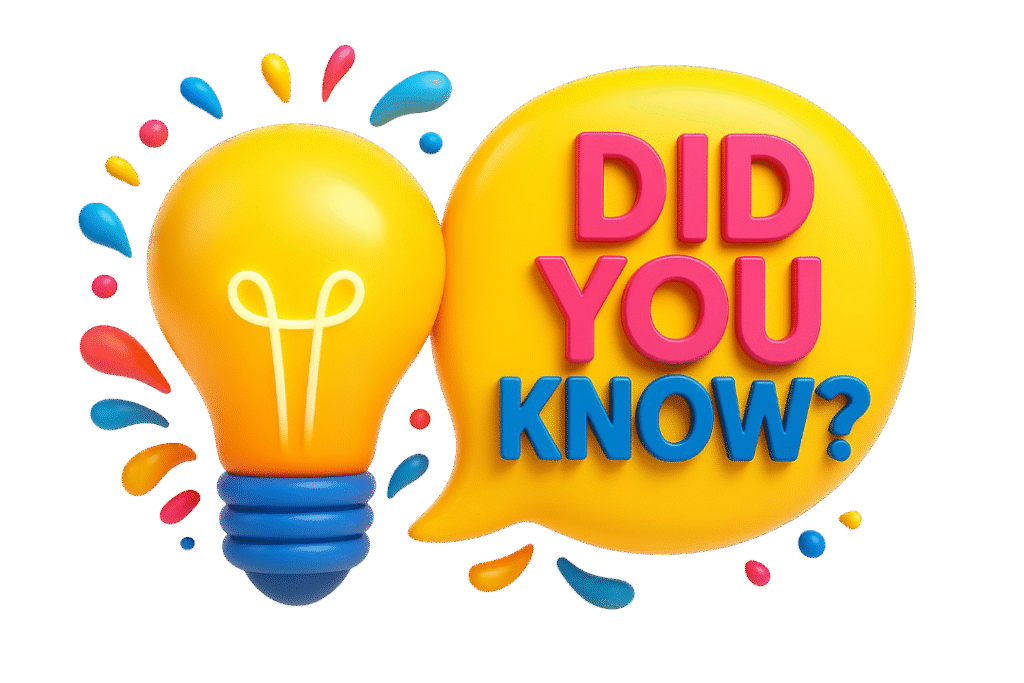 1753294908555 (2) 1753294908555 (2)